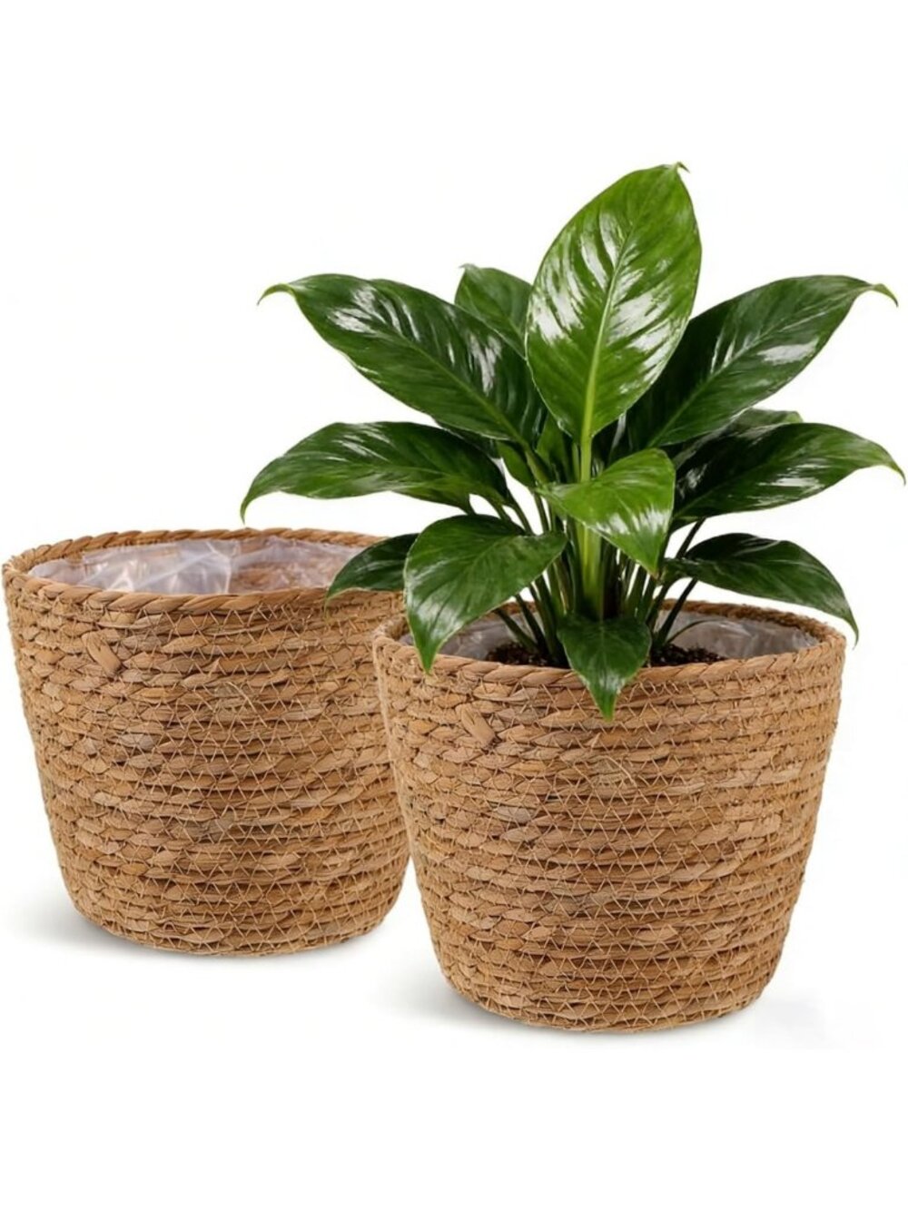 2PCS Seagrass Wicker Plant Baskets with Liner for 6-Inch Pots - Rustic Boho